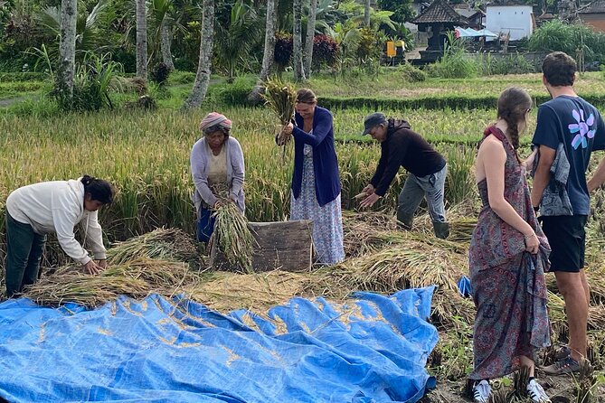 Private Bali Custom Tour – Full Day with English-Speaking Driver - Villages, Forests, and the Southern Coast