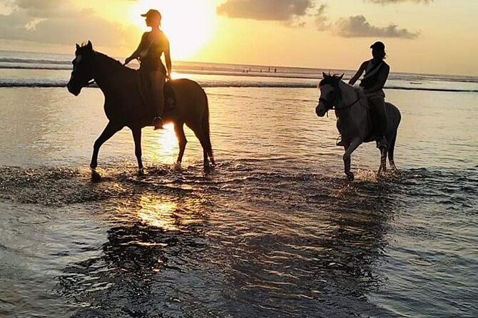 Private Bali Horse riding at saba beach - How private riding changes the experience