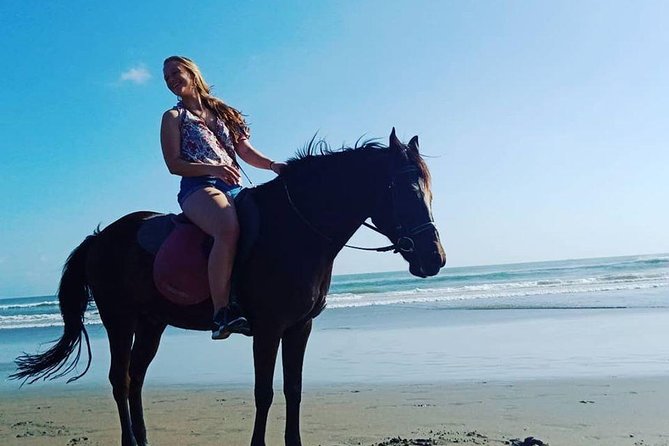 Private Bali Horse riding at saba beach - Is $43.79 good value for one hour?