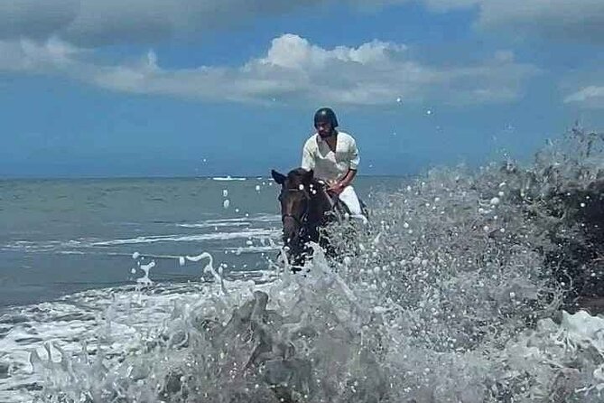 Private Bali Horse riding at saba beach - Safety, animal welfare, and how to protect your booking