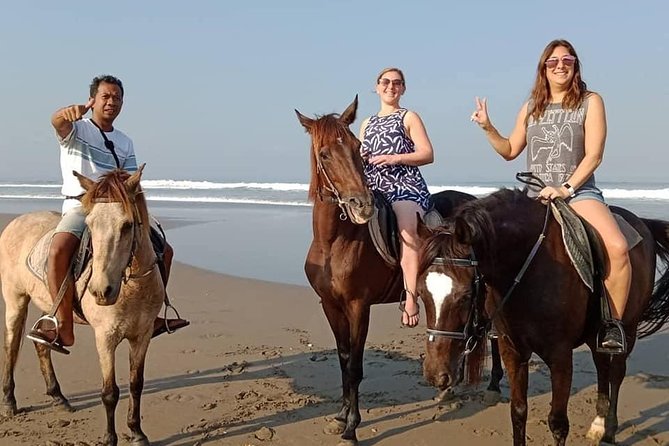 Private Bali Horse Riding In Seminyak Beach - Horse welfare and safety deserve your attention