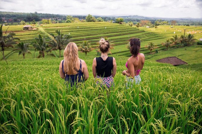 Private Bali Tour: The Most Scenic Places - Ulun Danu Bratan: Bali’s lakeside temple view