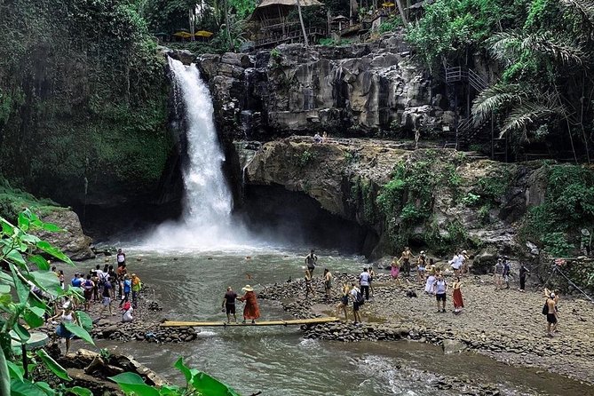 Private Bali Tour: Wonderful Ubud with Swing - Sacred Monkey Forest: nature, temples, and alert eyes