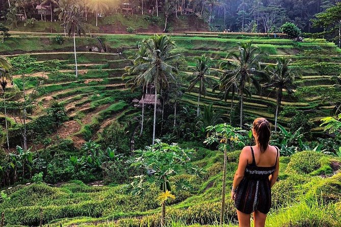 Private Bali Tour: Wonderful Ubud with Swing - Pickup from south Bali: useful, but traffic matters