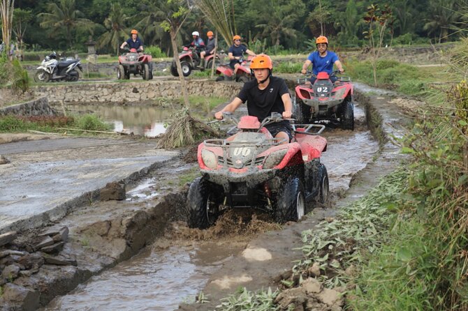 Private Balinese Cooking Class and Balinese house -All inclusive - Swing and ATV options need clarification