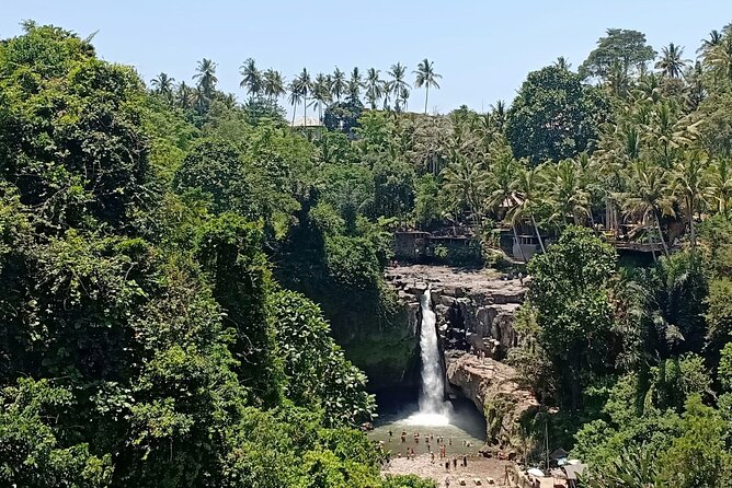 Private Car Charter: Hire Car with English Speaking Driver - Why a private car can work well in Bali
