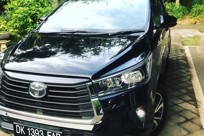 Private Car Charter in Bali with an English-speaking Driver - Ubud Traditional Art Market and inland sights