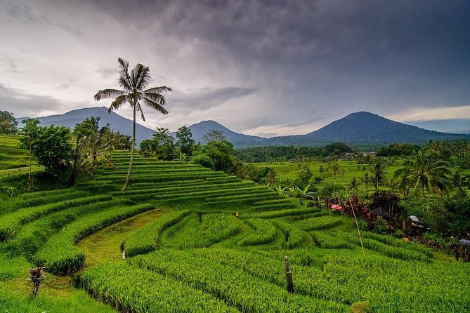Private Chartered Car to Bali Temples With Besakih Temple - Tirta Empul and the holy spring