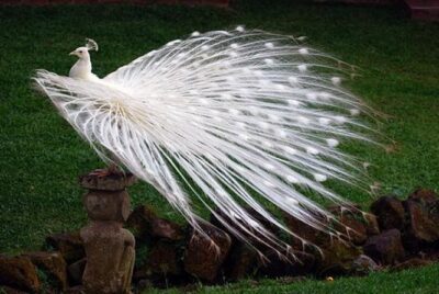 Private Custom Tour: 10-hour Best of Bali Tour