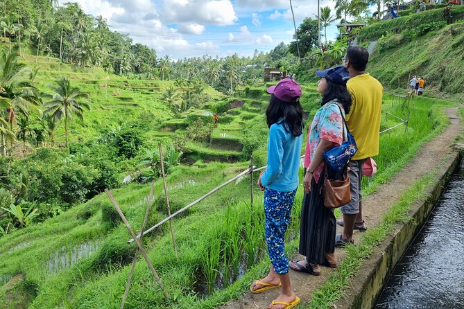 Private Customizable Bali Tour Visit with Transfer Included - How to shape an 8 to 10-hour itinerary