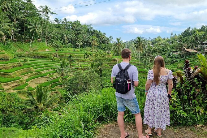 Private Customizable Bali Tour Visit with Transfer Included - What the $30 price really buys
