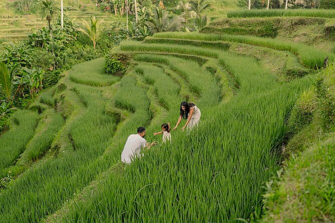 Private Customize Ubud Day Tour With Experienced Driver - Key Things to Know Before You Book
