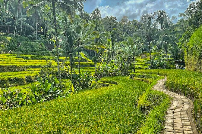 Private Customize Ubud Day Tour With Experienced Driver - Why a Private Ubud Day Makes Sense