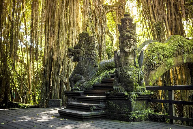 Private Customize Ubud Day Tour With Experienced Driver - Tirta Empul and Balinese Purification Rituals