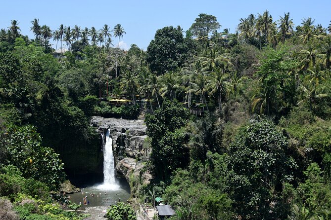 Private Customized Trip to Ubud - Tegenungan Waterfall: A Short, Wet Stop