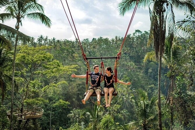 Private Day Tour In Ubud With Jungle Swing All Inclusive - Key points at a glance