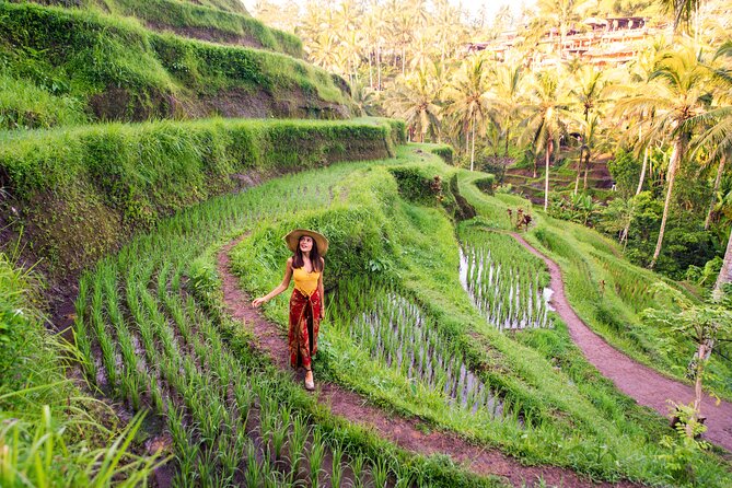 Private Day Tour: The Highlight of Ubud - Why this private Ubud day works