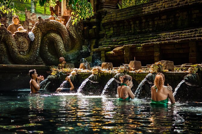 Private Day Tour: The Highlight of Ubud - Tirta Empul: Bali’s living temple tradition
