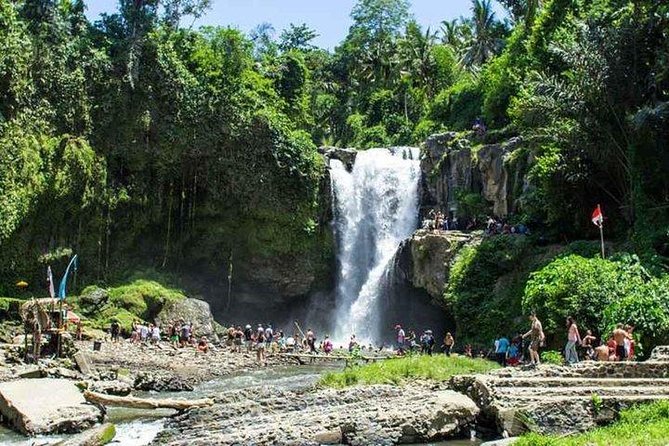 Private Day Tour: The Highlight of Ubud - Sacred Monkey Forest: an easy start with plenty of activity