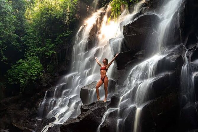 Private Day Tour To Waterfalls And Ubud Sightseeing - Lunch is a paid pause, not a full inclusion