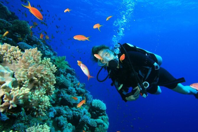 Private Diving Experience in Nusa Dua with Hotel Pick Up - What the Nusa Dua setting means for your session