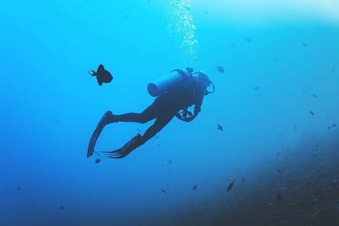 Private Diving Experience in Nusa Dua with Hotel Pick Up - Equipment, boat transfer, and facilities included