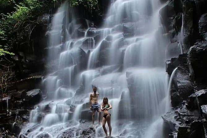 Private driver and tours - A full-day Ubud plan built around your interests
