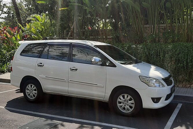 Private Driver in Bali with English Speaking - Tegenungan Waterfall: a quick first stop