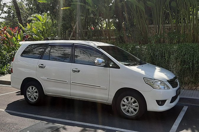 Private Driver in Bali with English Speaking - Ubud town: a short taste of the cultural center