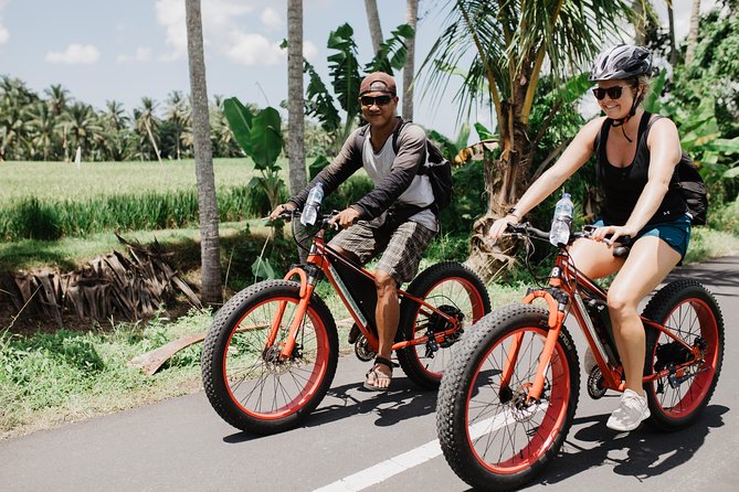 Private Fat Tire E-Bike Tour in Ubud - Tegalalang Rice Terrace in just 15 minutes