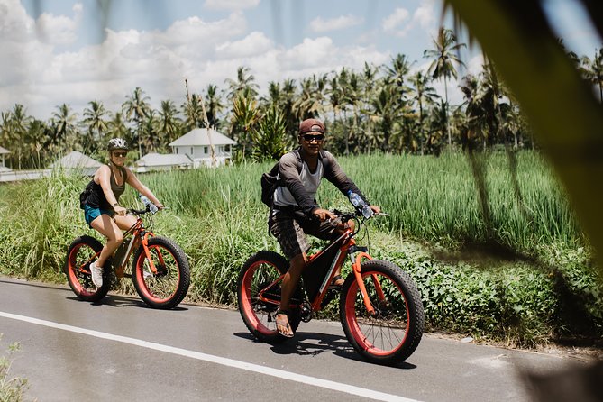 Private Fat Tire E-Bike Tour in Ubud - A guide who keeps the ride comfortable