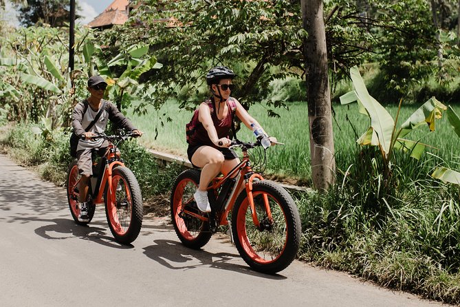 Private Fat Tire E-Bike Tour in Ubud - Is $75 a fair price?
