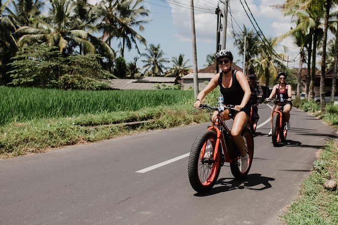 Private Fat Tire E-Bike Tour in Ubud - Who should book this ride?