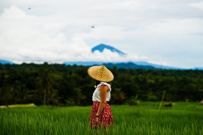Private Full-Day Bali Tour - My Swing Bali, made for photos and fun