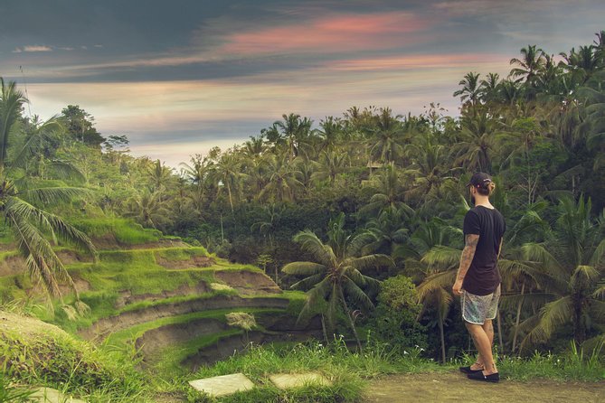 Private Full-Day Bali Tour - Tirta Empul and Bali’s holy spring