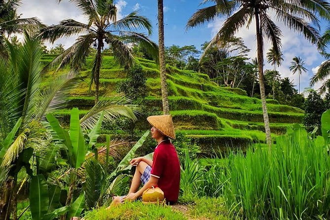 Private Full - Day Nusa Penida Island Tour - Kelingking Beach and the famous cliff view
