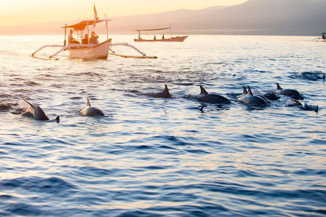 Private Full - Day Nusa Penida Island Tour - What the private guide adds to the day