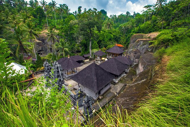Private Full-Day Tour: Balinese Temples and Rice Terraces - Starting among the macaques in Ubud