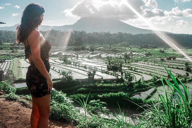 Private Full Day Tour: Best UNESCO Sites in Bali - Buffet lunch and what the price covers