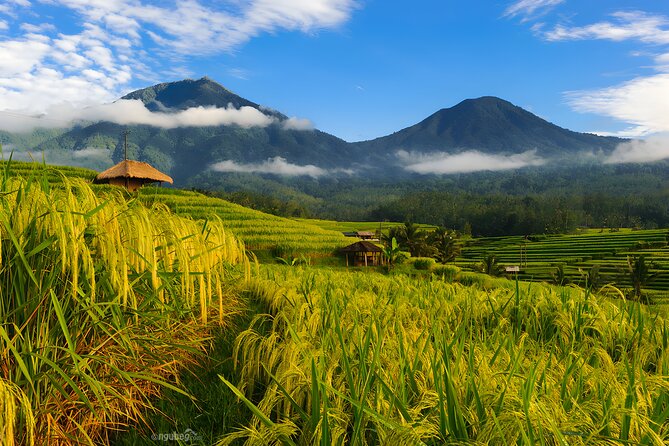 Private Full-Day Tour: Discover The Best of Bali Destination - One Long Day From Seminyak to Bali’s Highlands