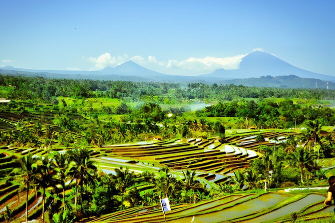 Private Full-Day Tour: Discover The Best of Bali Destination - Ulun Danu Beratan: Bali’s Classic Lake Temple