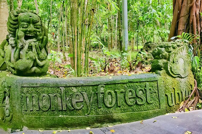 Private Full-Day Tour in Bali & FREE WIFI - What this private Bali tour really offers