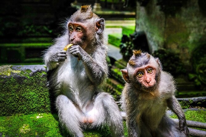 Private Full Day Tour In Ubud Bali - Ubud Art Market and Bali Pulina coffee