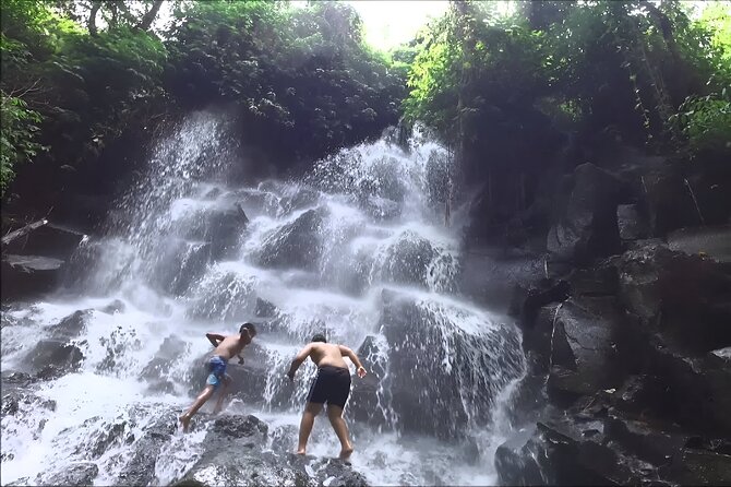Private Full-Day Tour: The Beauty of Bali Waterfall Trip - Lunch in an Indonesian restaurant
