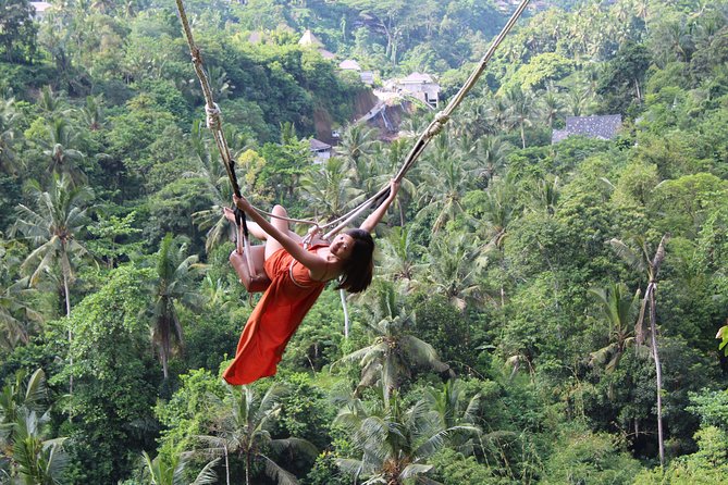 Private Full Day Tour to Ubud Highlights with Giant Swing - Picheaven Bali Swing: two hours of photographs and height