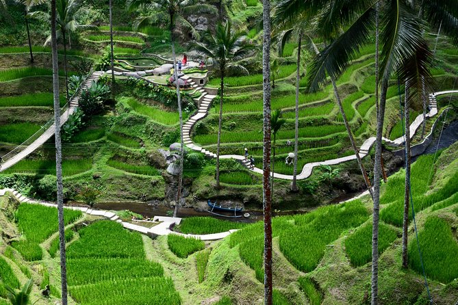 Private Full Day Tour to Ubud Highlights with Giant Swing - How to prepare for a smoother day