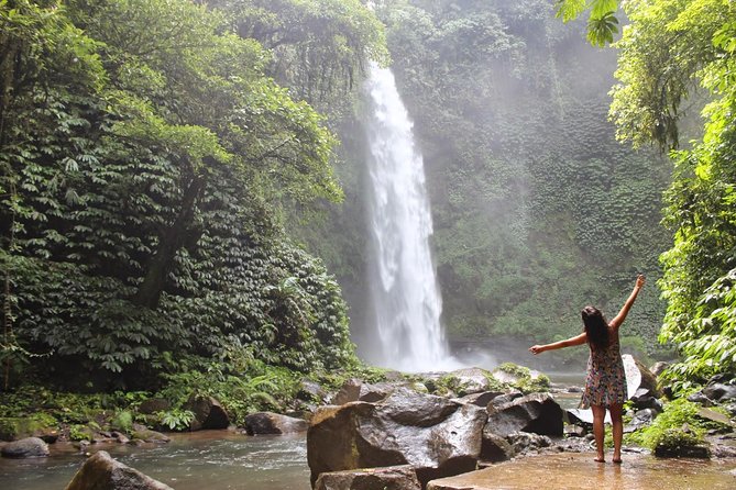 Private Full-Day West Bali Tour with Waterfall Visit - Lunch, transport, and the real value of $67
