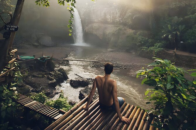 Private Half-Day Tour: The Best Ubud Half Day Trip Packages - The driver-guide and private transport