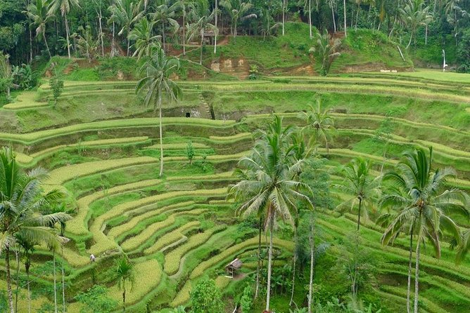 Private Inclusive Tours: 2 Days highlight of Bali - Why a Private Two-Day Route Works in Bali