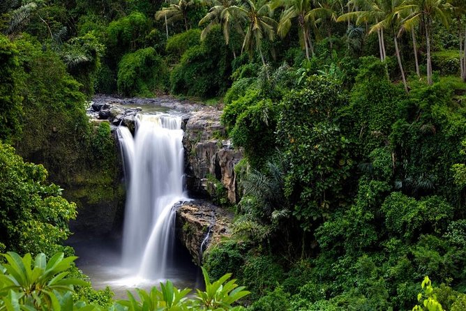 Private Inclusive Tours: 2 Days highlight of Bali - Sacred Monkey Forest: Enjoy the Animals Carefully